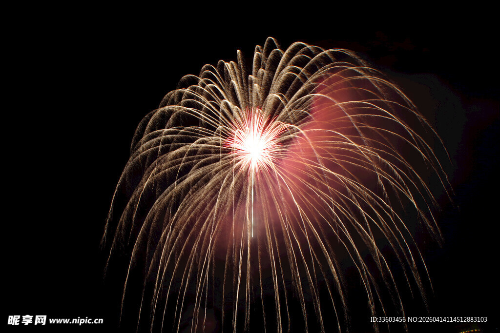 夜空中绚烂绽放的烟花