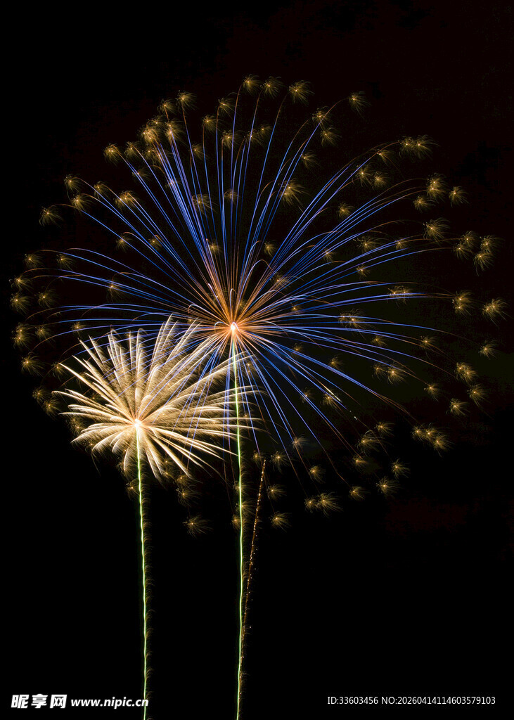 夜空中绚烂的烟花绽放