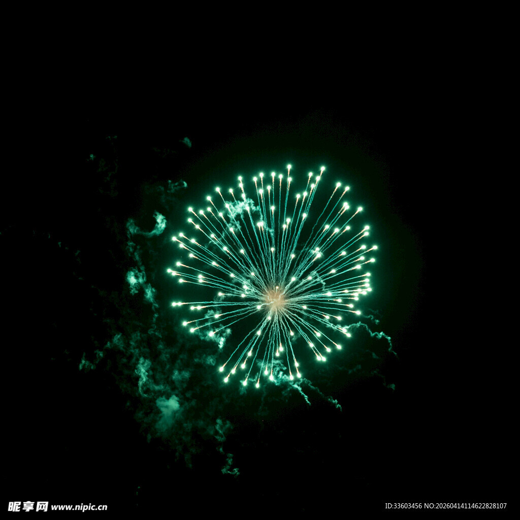 夜空中的绿色绚烂烟花