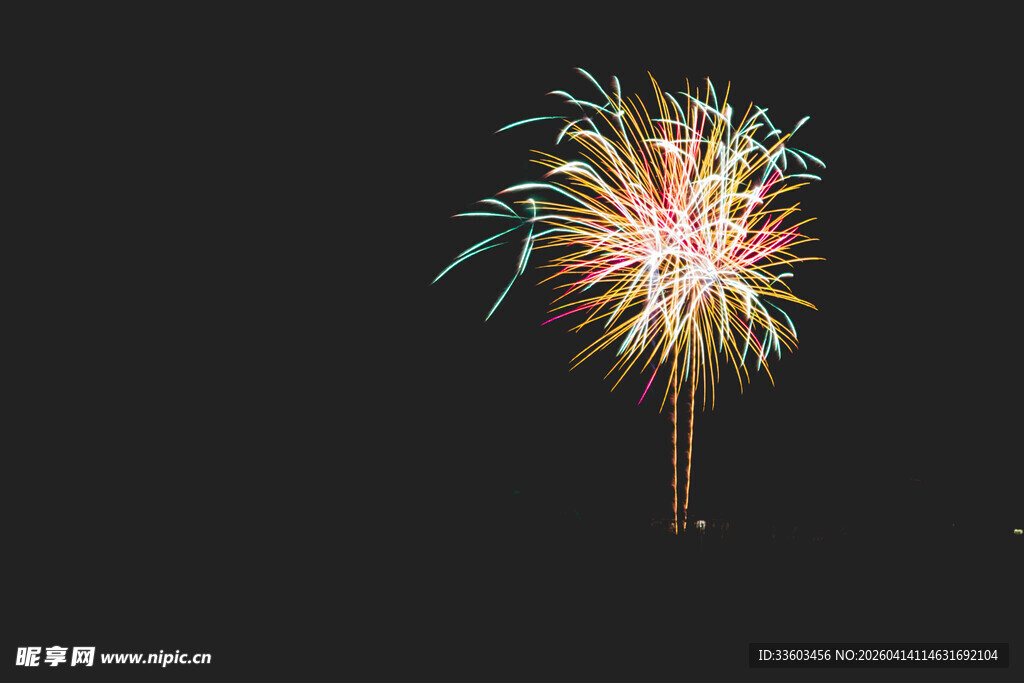 夜空中绚烂的单束烟花