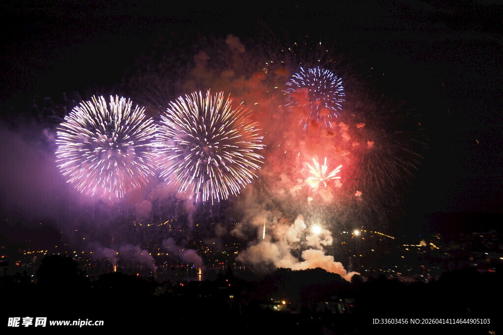 夜空中绚烂的烟花绽放