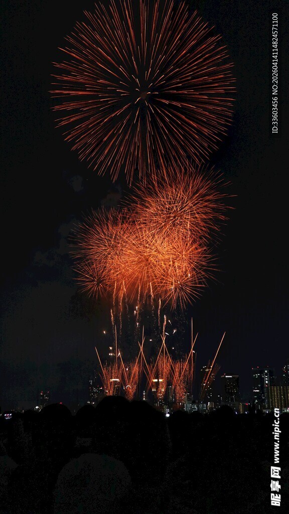 夜空中绚烂的烟花绽放