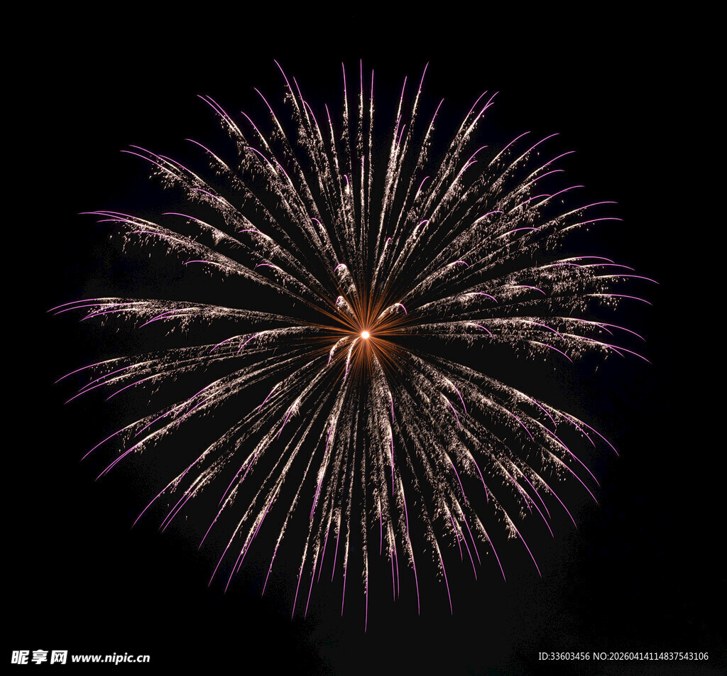 夜空中绽放的绚烂烟花