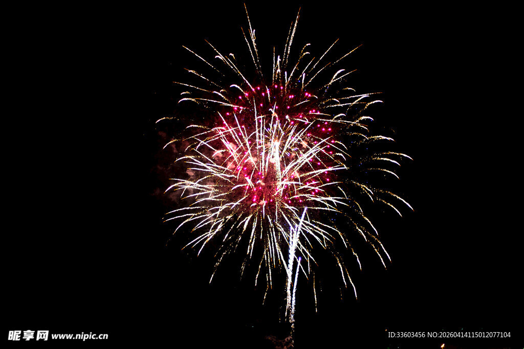 夜空中绚烂的烟花绽放