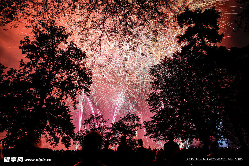 夜空中绚烂绽放的烟花