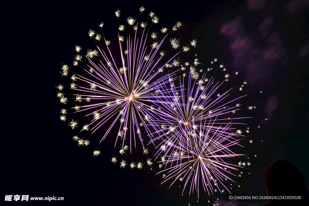 夜空中绚烂的紫色烟花
