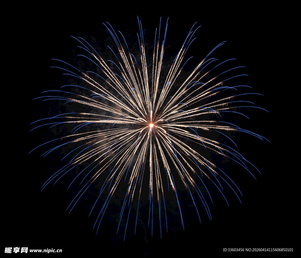 夜空中绽放的绚丽烟花