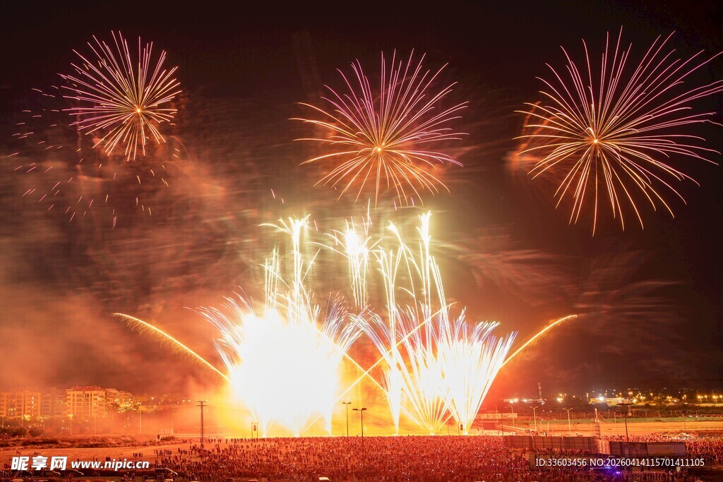 绚烂烟花点亮夜空