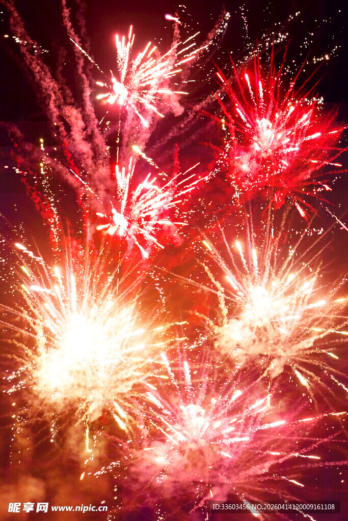 绚丽烟花绽放夜空