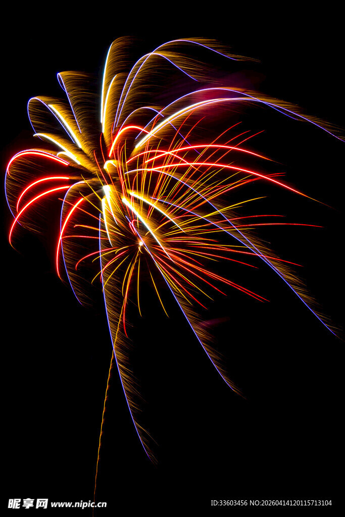 绚丽烟花绽放夜空