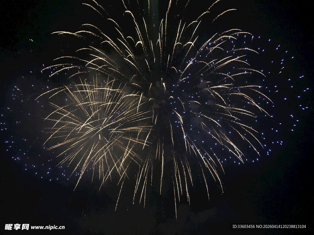 夜空中绚烂绽放的烟花