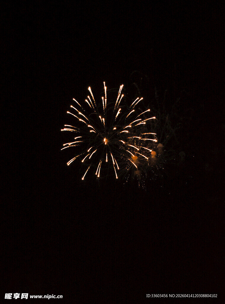 夜空中绽放的绚丽烟花