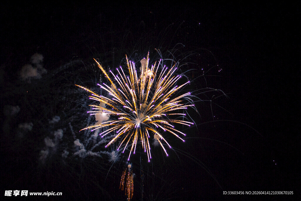 夜空中绚烂绽放的烟花