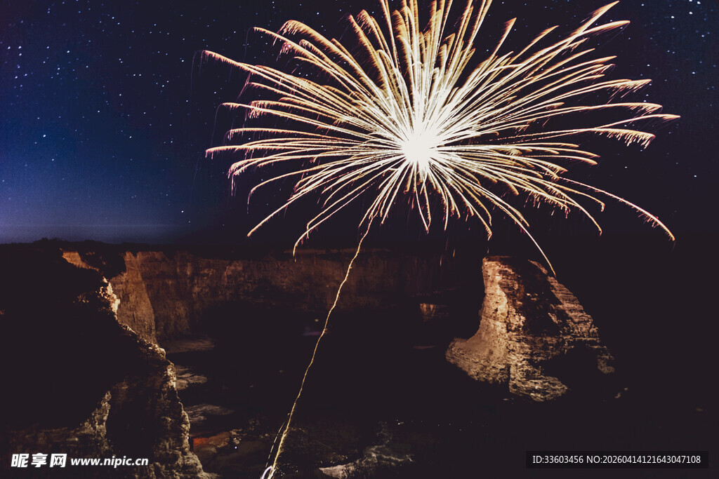 夜空绽放的绚烂烟花