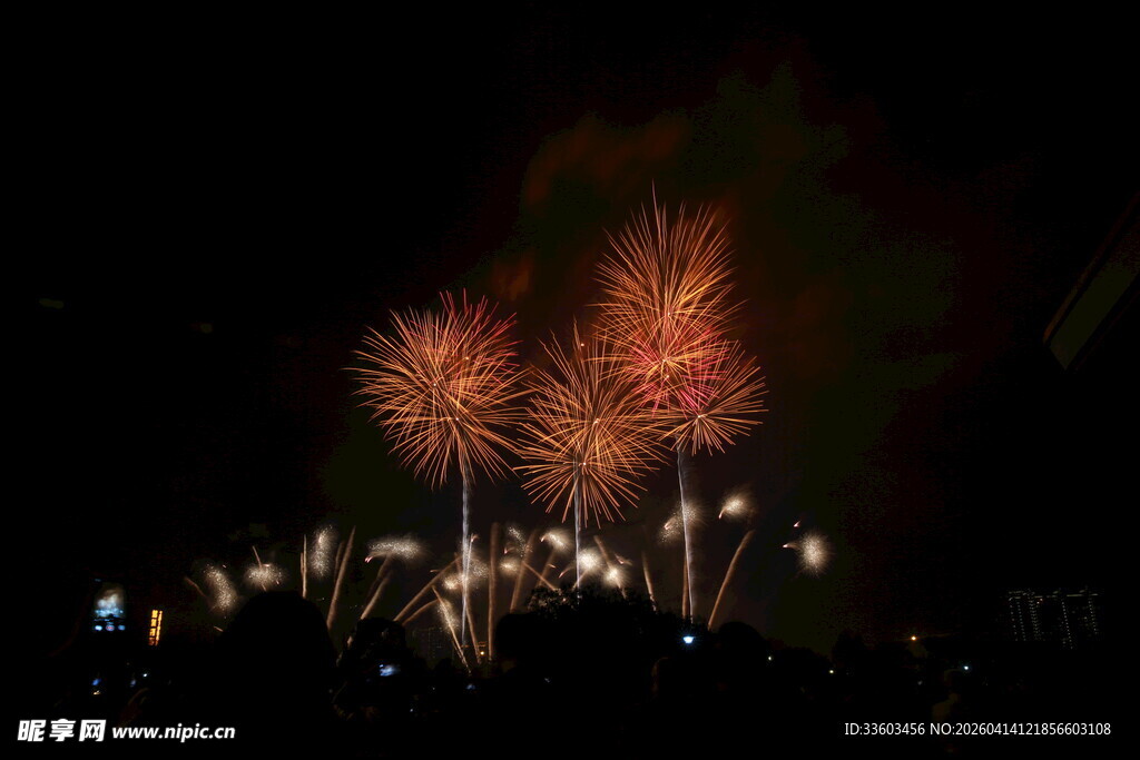 夜空中绚烂的烟花绽放