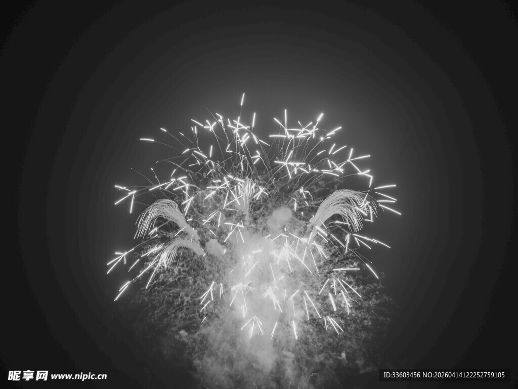 绚丽烟花照亮璀璨夜空