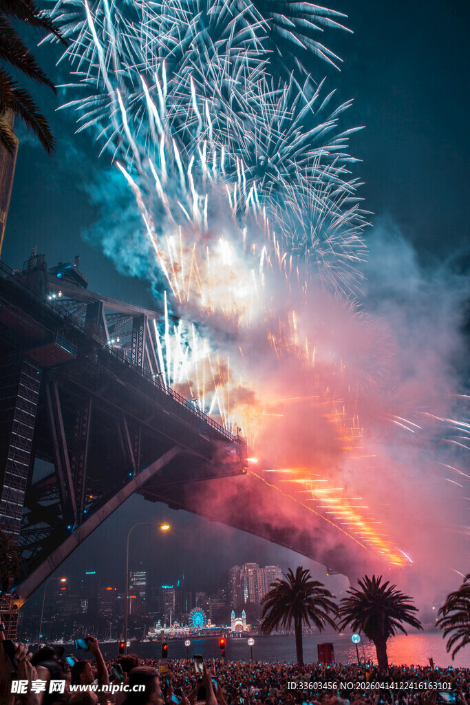 城市夜空绚烂烟花绽放