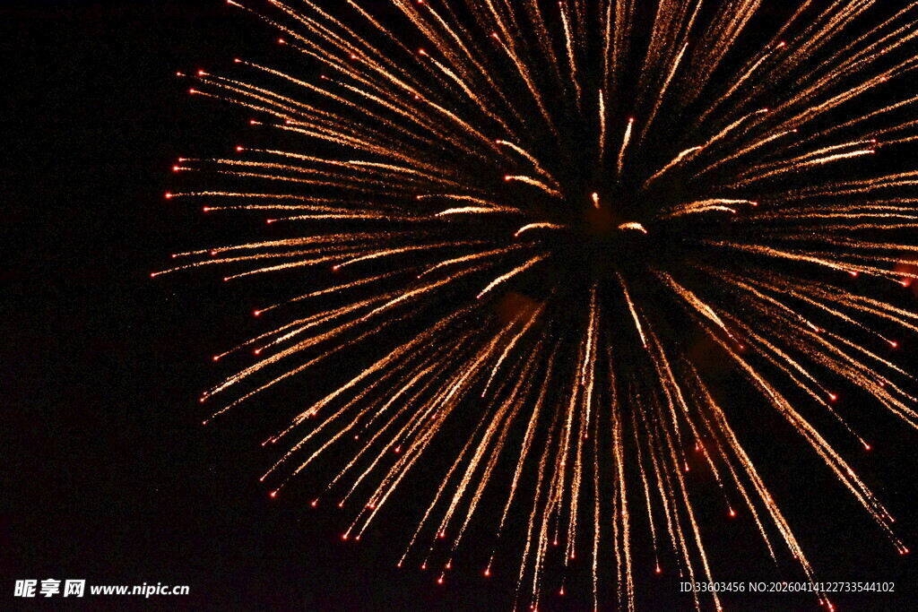 夜空中绽放的绚烂烟花