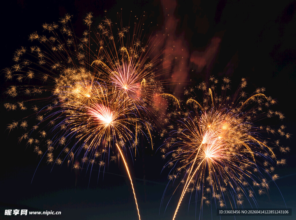 夜空中绚烂绽放的烟花