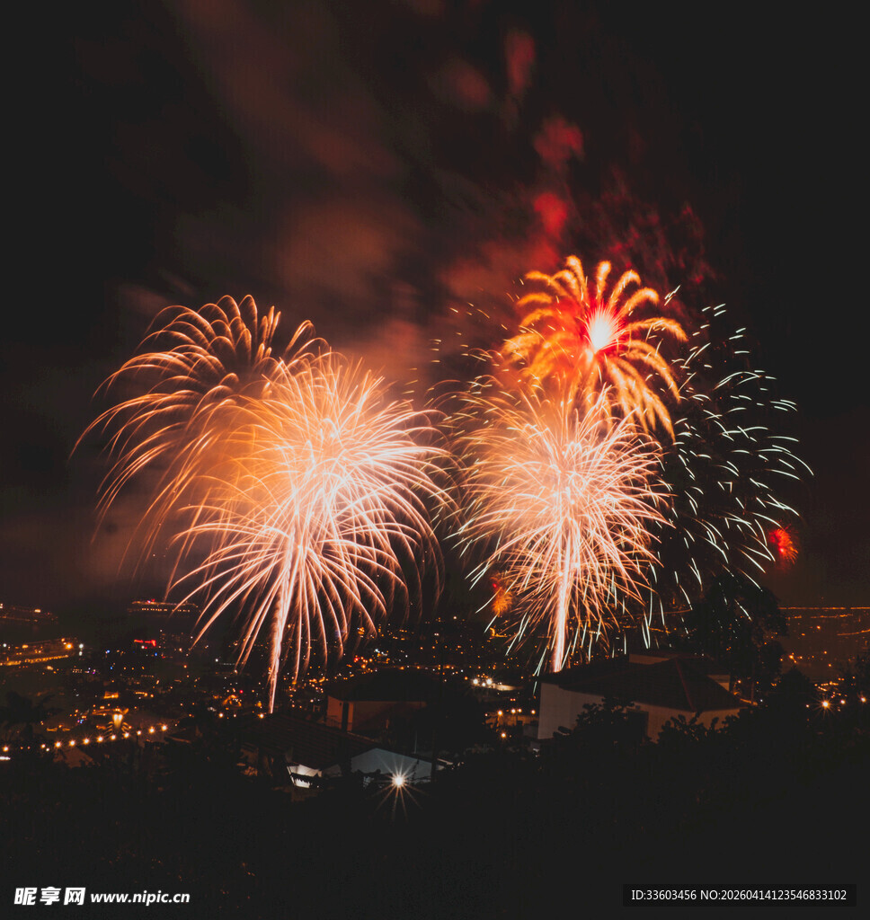 夜空中绚烂的烟花绽放