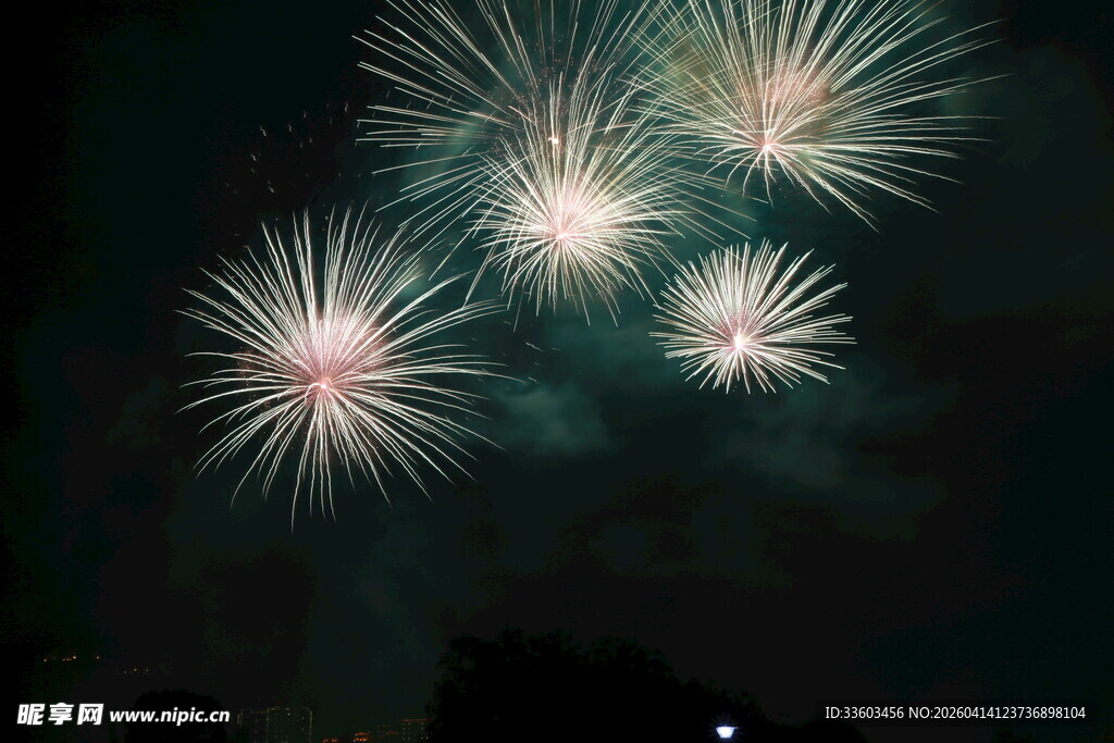 夜空中绚烂绽放的烟花