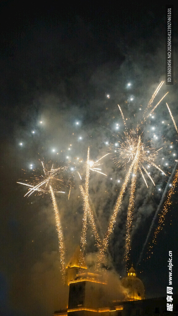 夜空下的绚烂烟花绽放