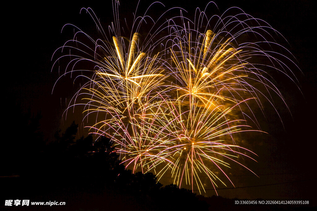 夜空中绚烂的金色烟花