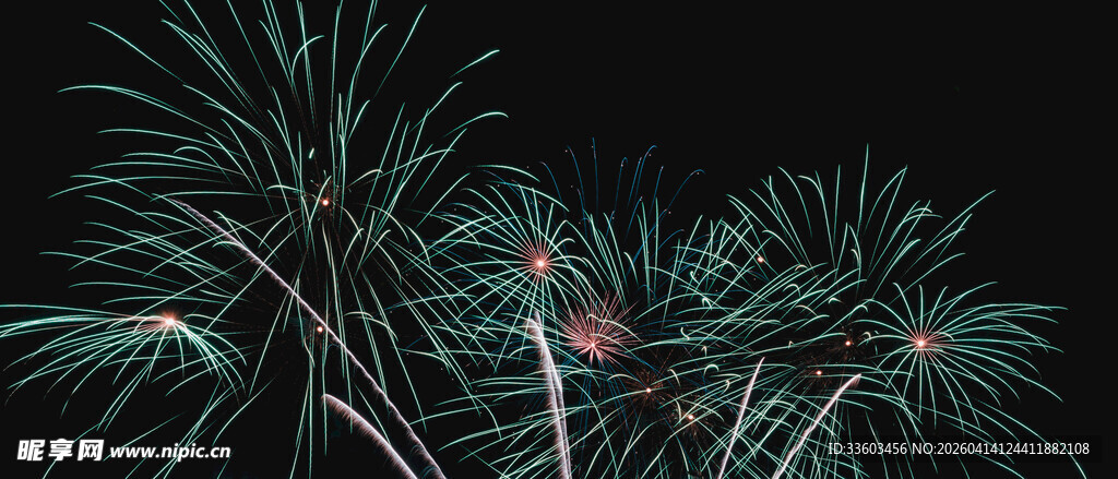 夜空中绚丽绽放的烟花