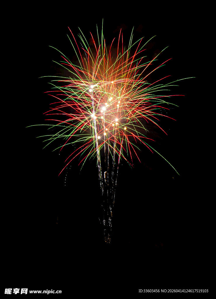 夜空中绚丽绽放的烟花