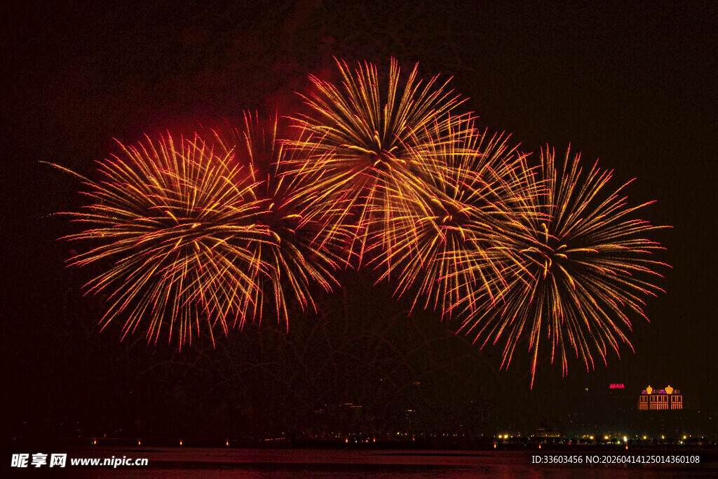 夜空中绚烂的烟花绽放