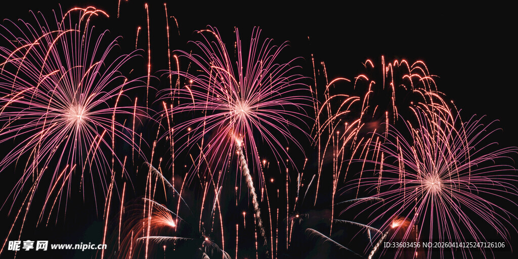 绚丽烟花绽放夜空