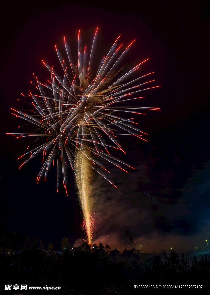 夜空中绚烂绽放的烟花