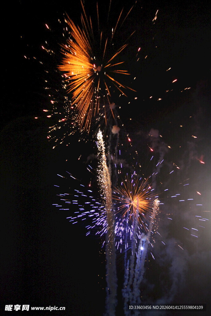 夜空中绚烂绽放的烟花