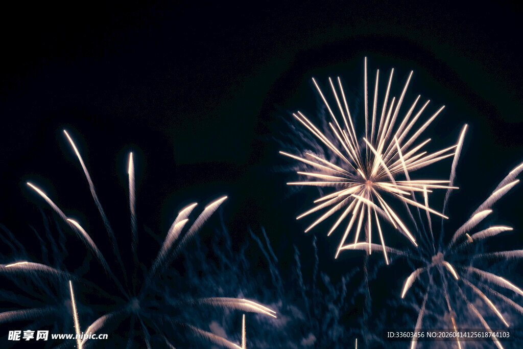夜空中绚烂绽放的烟花