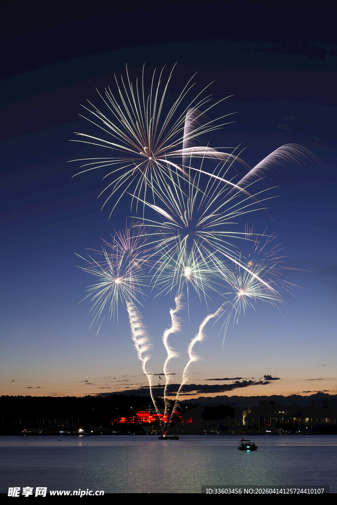 夜空绽放的绚烂烟花