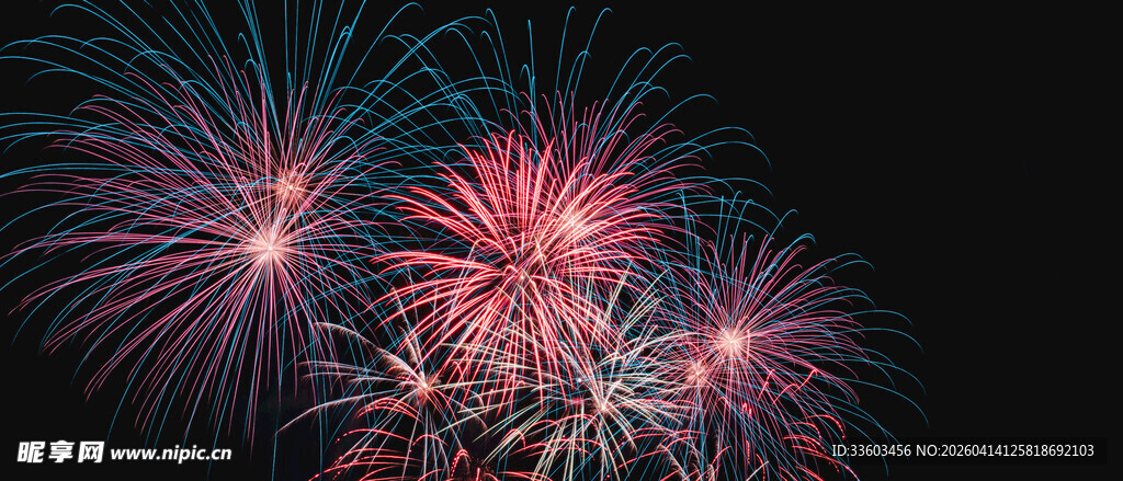 绚丽烟花绽放夜空