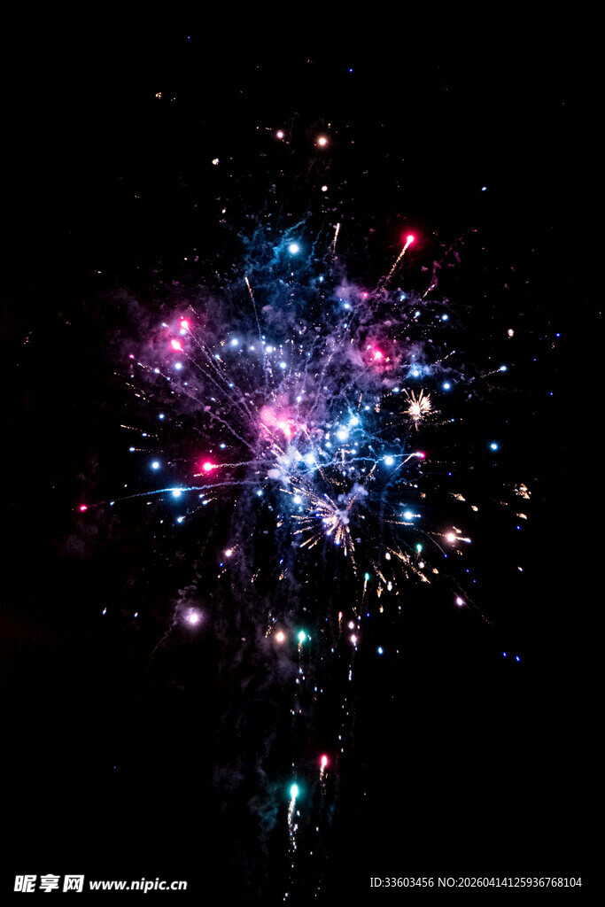 绚丽烟花绽放夜空
