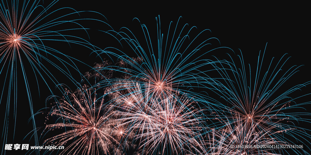 绚丽烟花绽放夜空