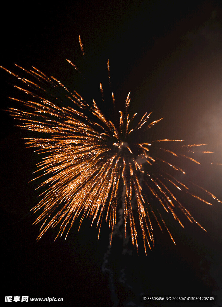 夜空中绚烂的金色烟花