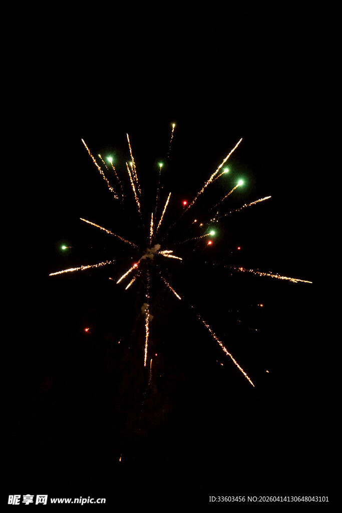 夜空中绽放的绚丽烟花