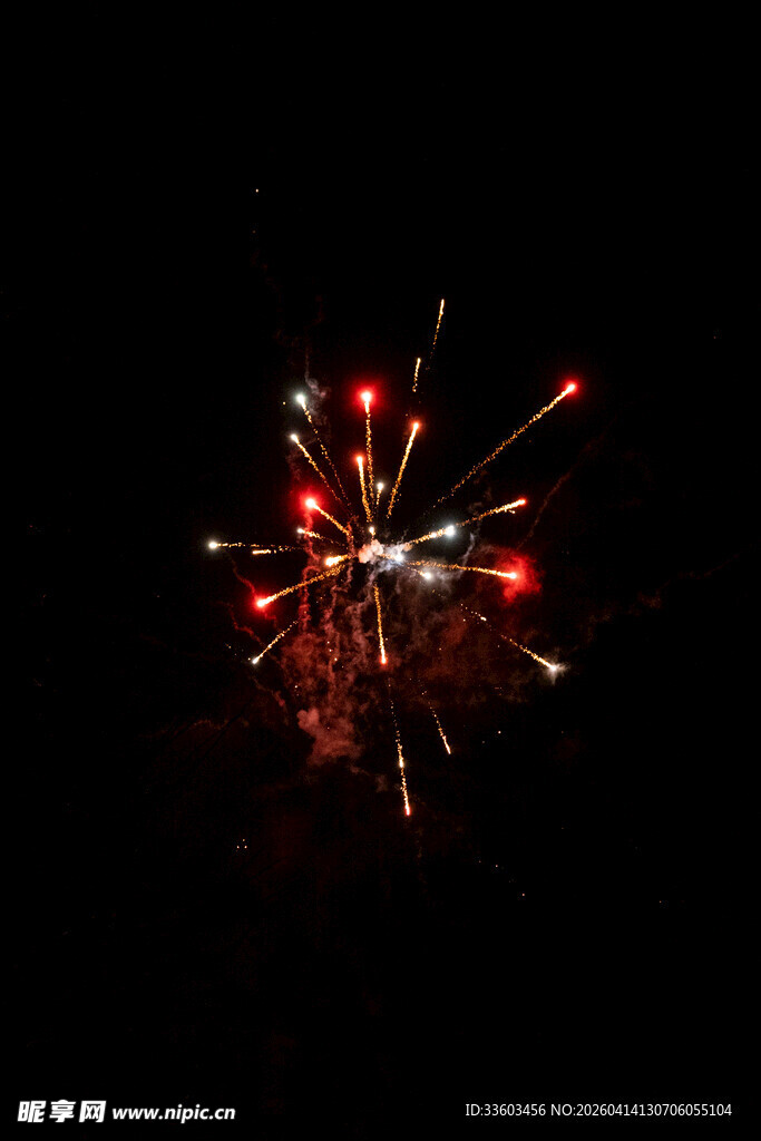 夜空中绚烂的烟花绽放