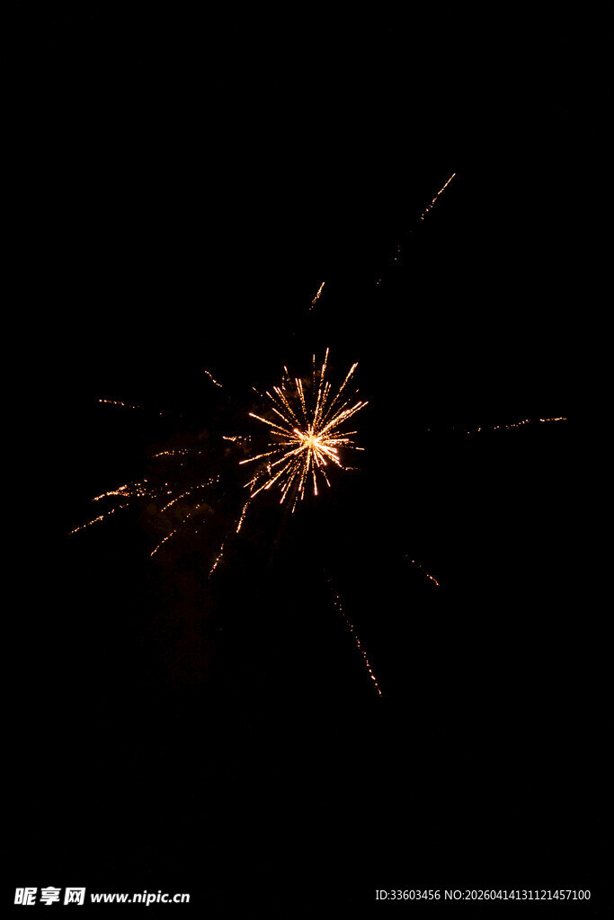 夜空中绚烂的烟花绽放