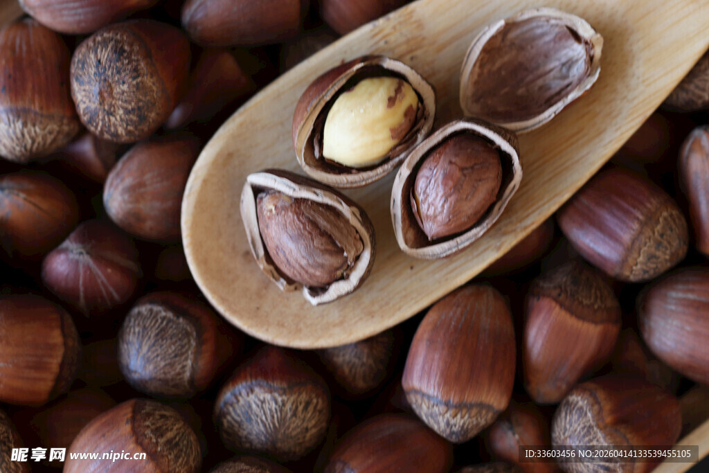 木勺上的美味榛子