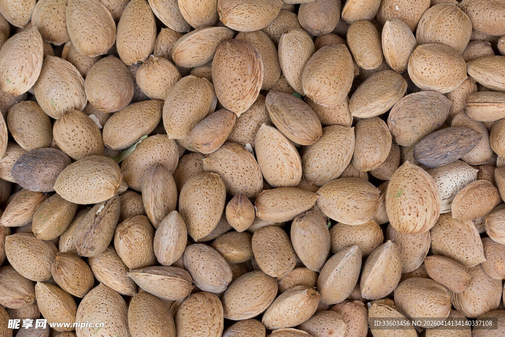 饱满杏仁特写