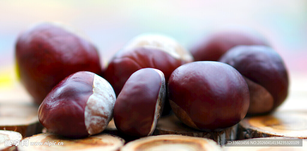 新鲜板栗摆放在木片上