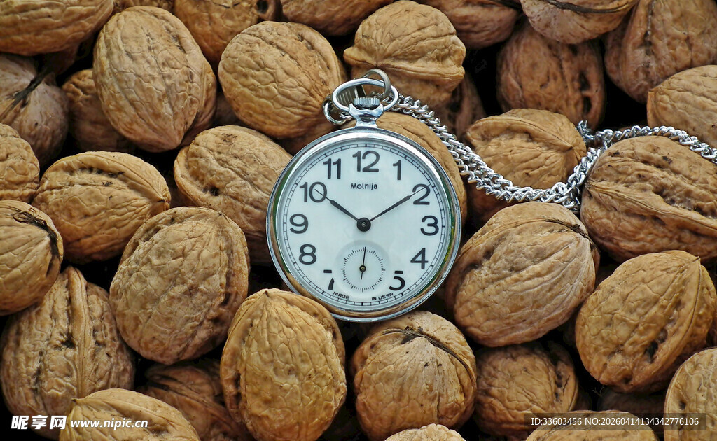 怀表置于坚果堆中