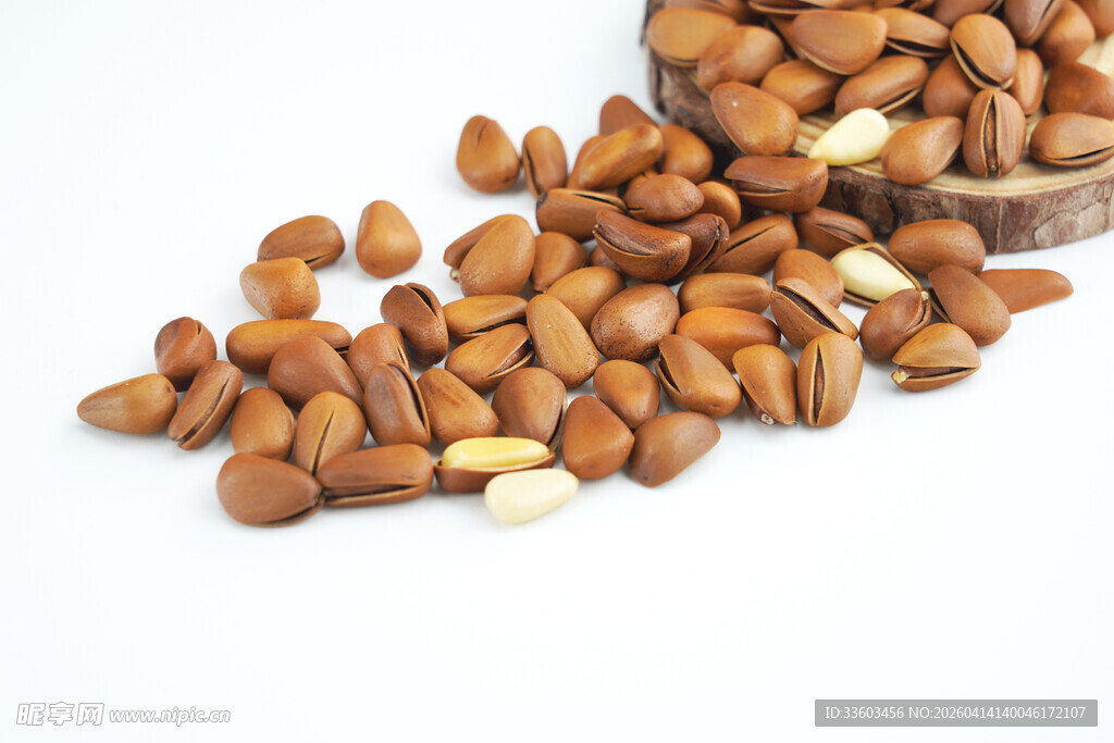 散落的美味松子