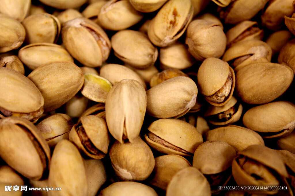 饱满开心果特写