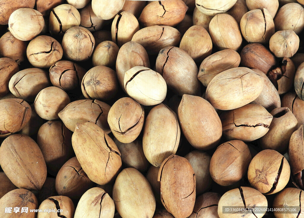 饱满碧根果特写