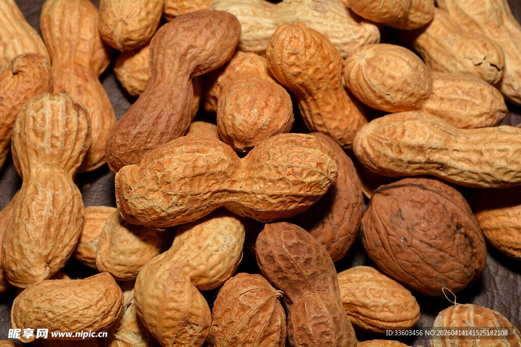 饱满花生特写